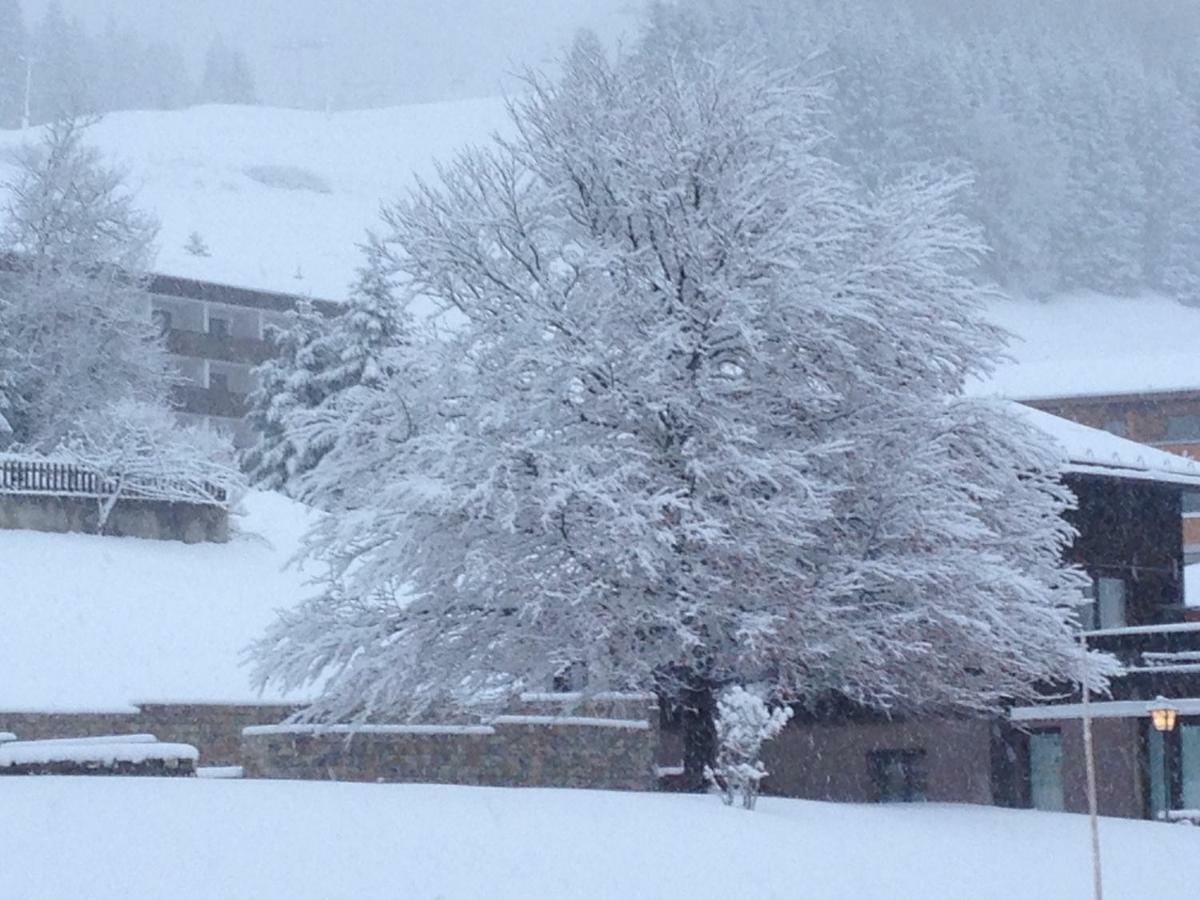 Gaestehaus Baldauf Berwang Exteriör bild